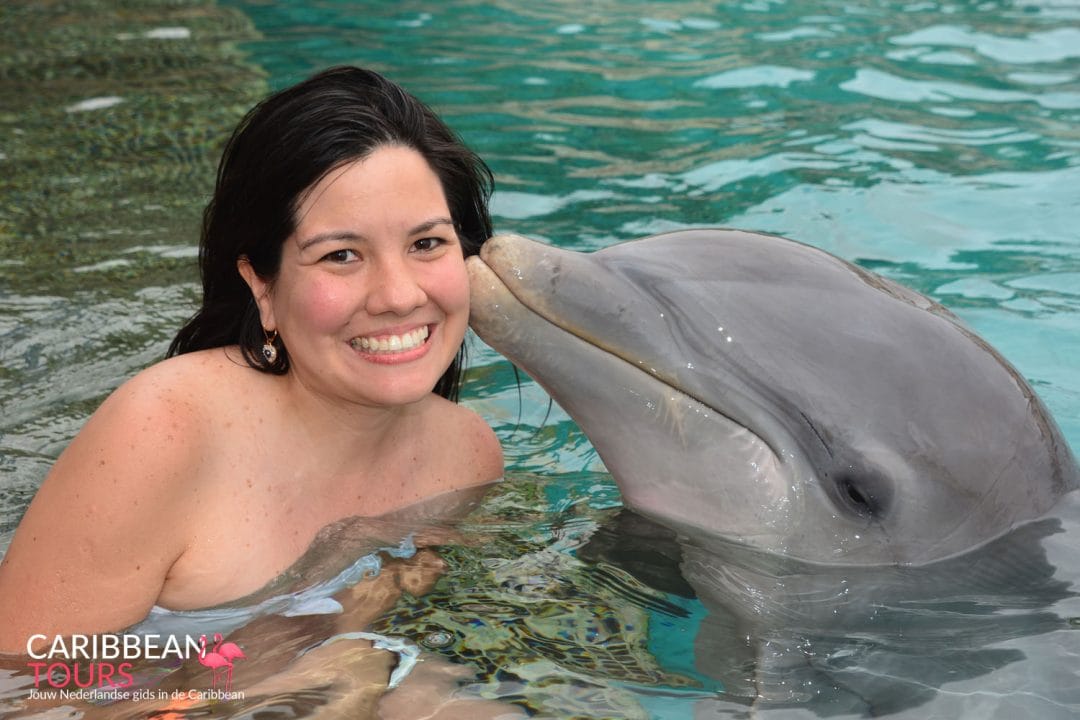 Dolfijnen Encounter