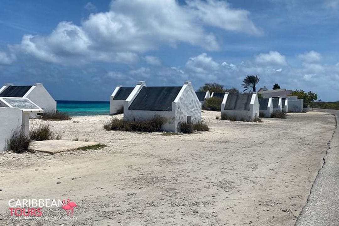 Bonaire Eiland Tour