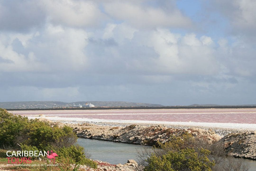 Bonaire Eiland Tour