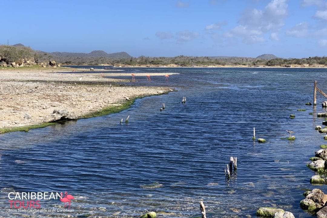 Washington Park Tour