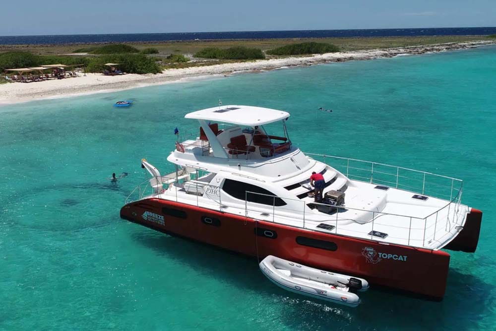 Klein Curacao <br>Bluefinn TopCat