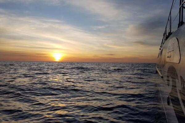 Sunset Tour Catamaran
