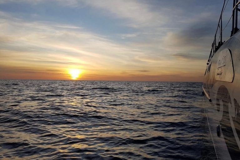 Sunset cruise met catamaran