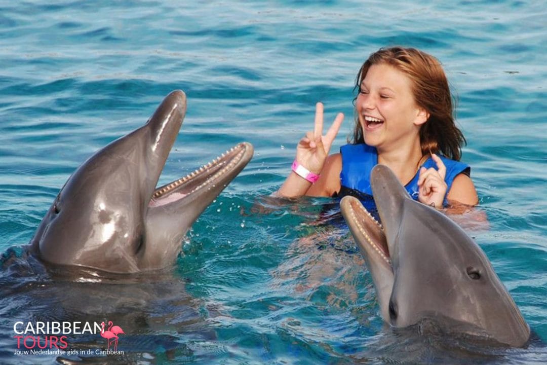 Zwemmen met dolfijnen