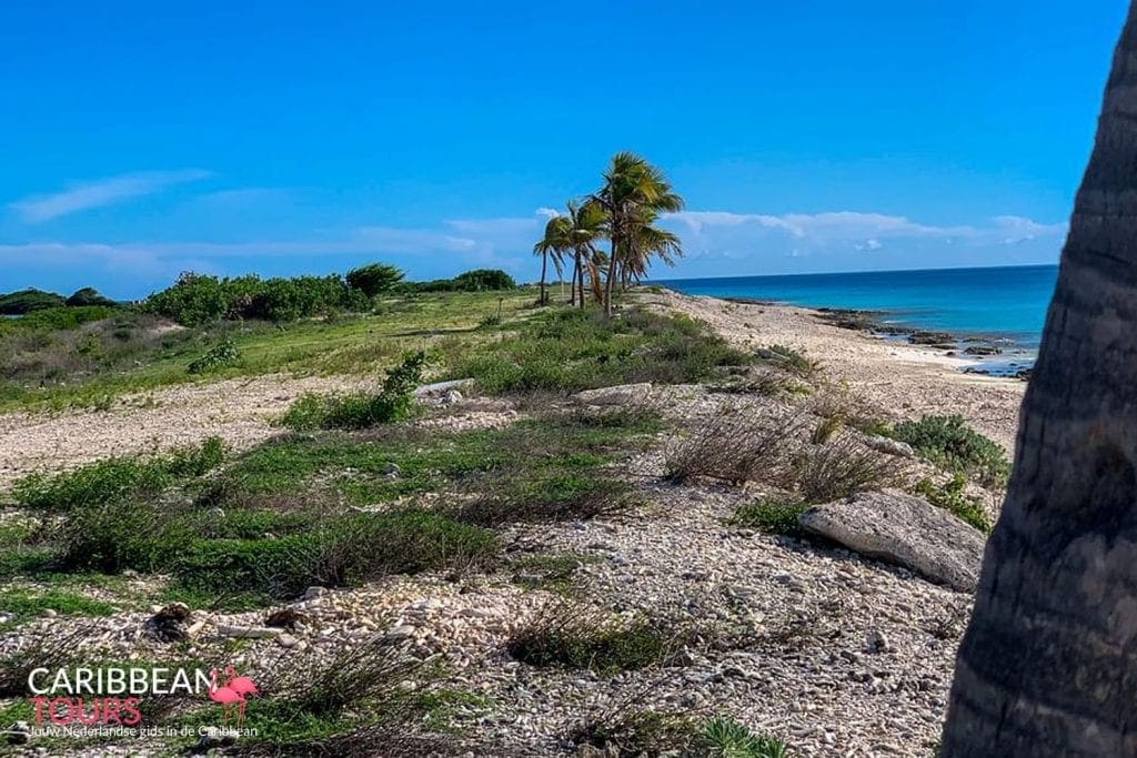 Bonaire Snorkel Tour, Foto 6