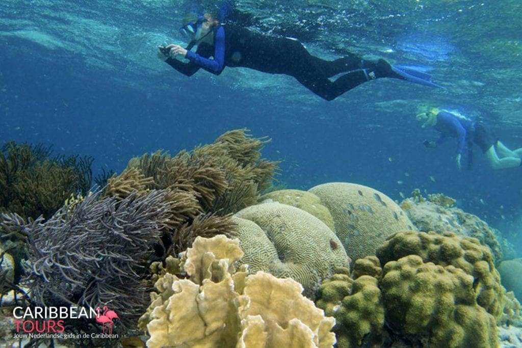 Bonaire Snorkel Tour, Foto 5