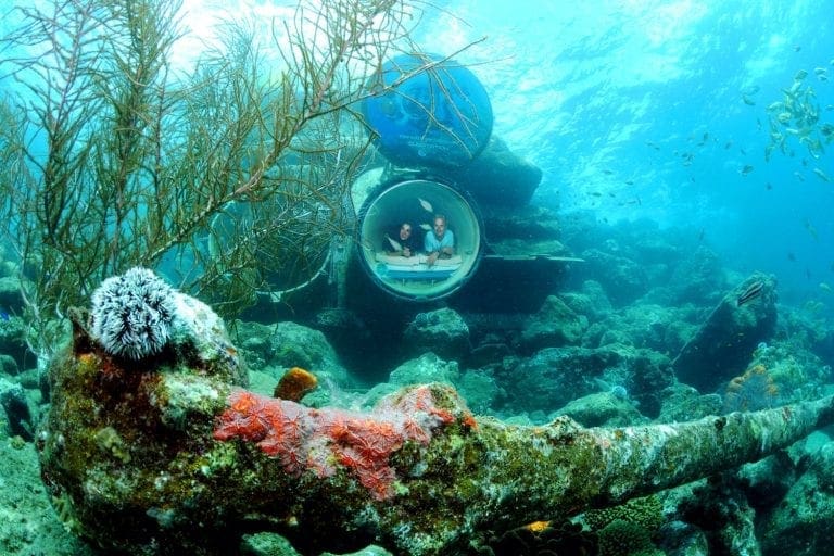 Ocean Lens