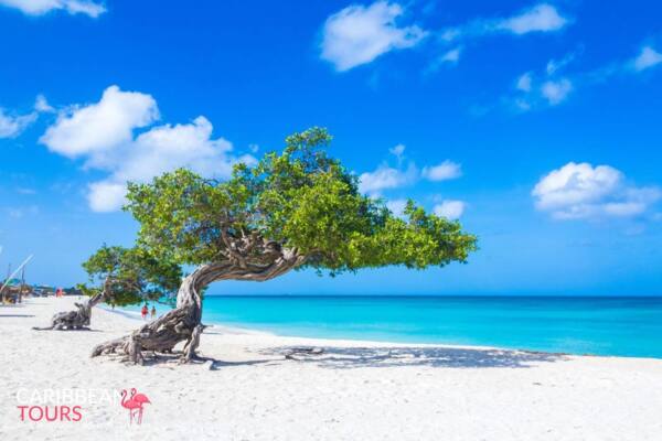 Aruba eiland tour