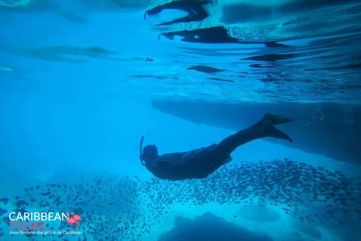 Snorkeltrip met de Powerboat