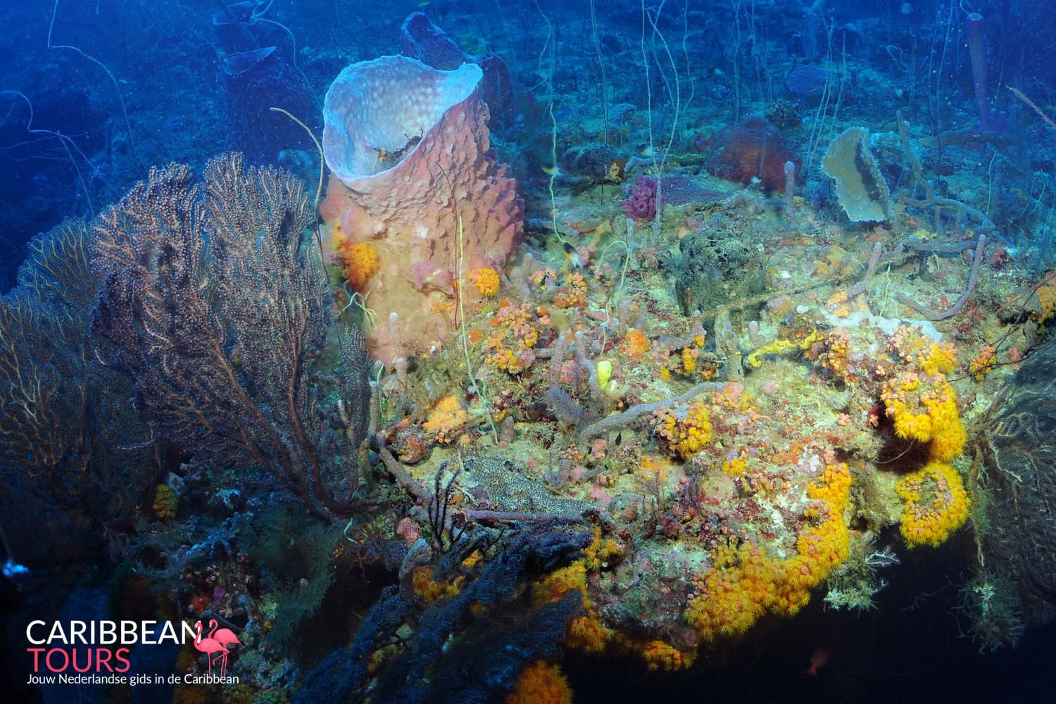 Substation onderzeeër Curaçao