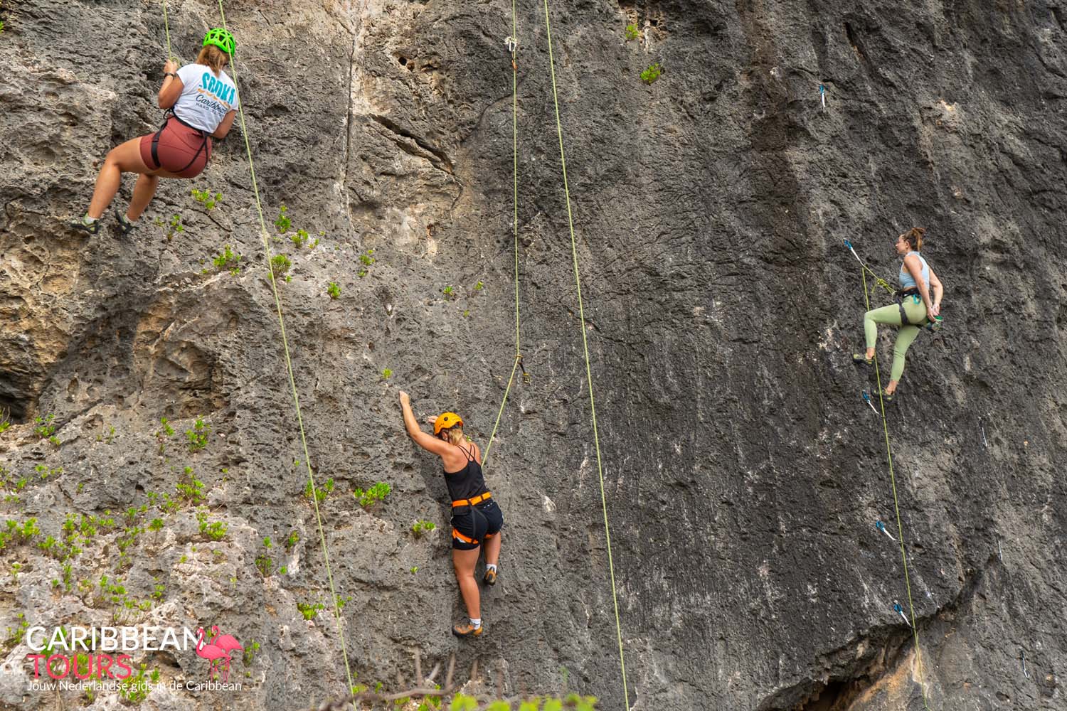 Rotsklimmen op de Tafelberg