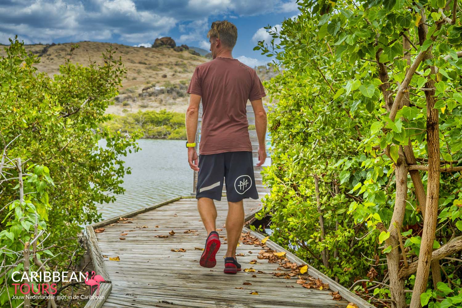 Eiland Highlights Tour met E-Bike