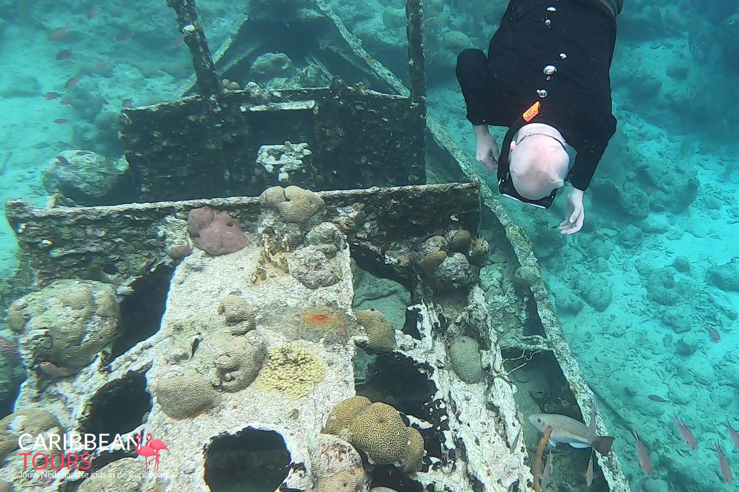 Tugboat Snorkel Scooter Tour