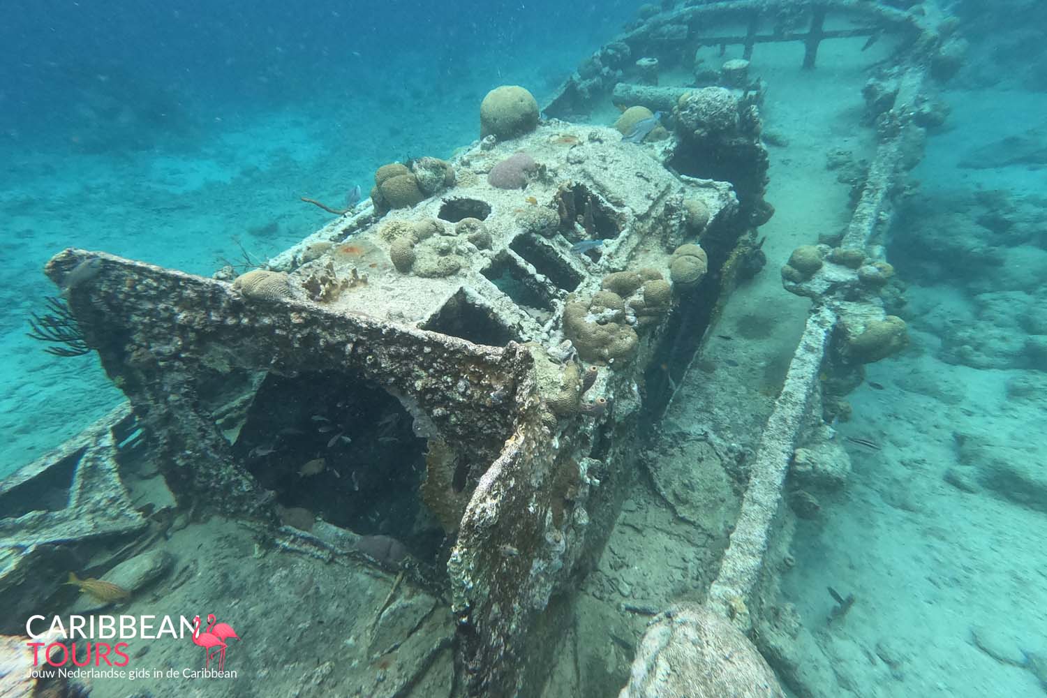 Tugboat Snorkel Scooter Tour