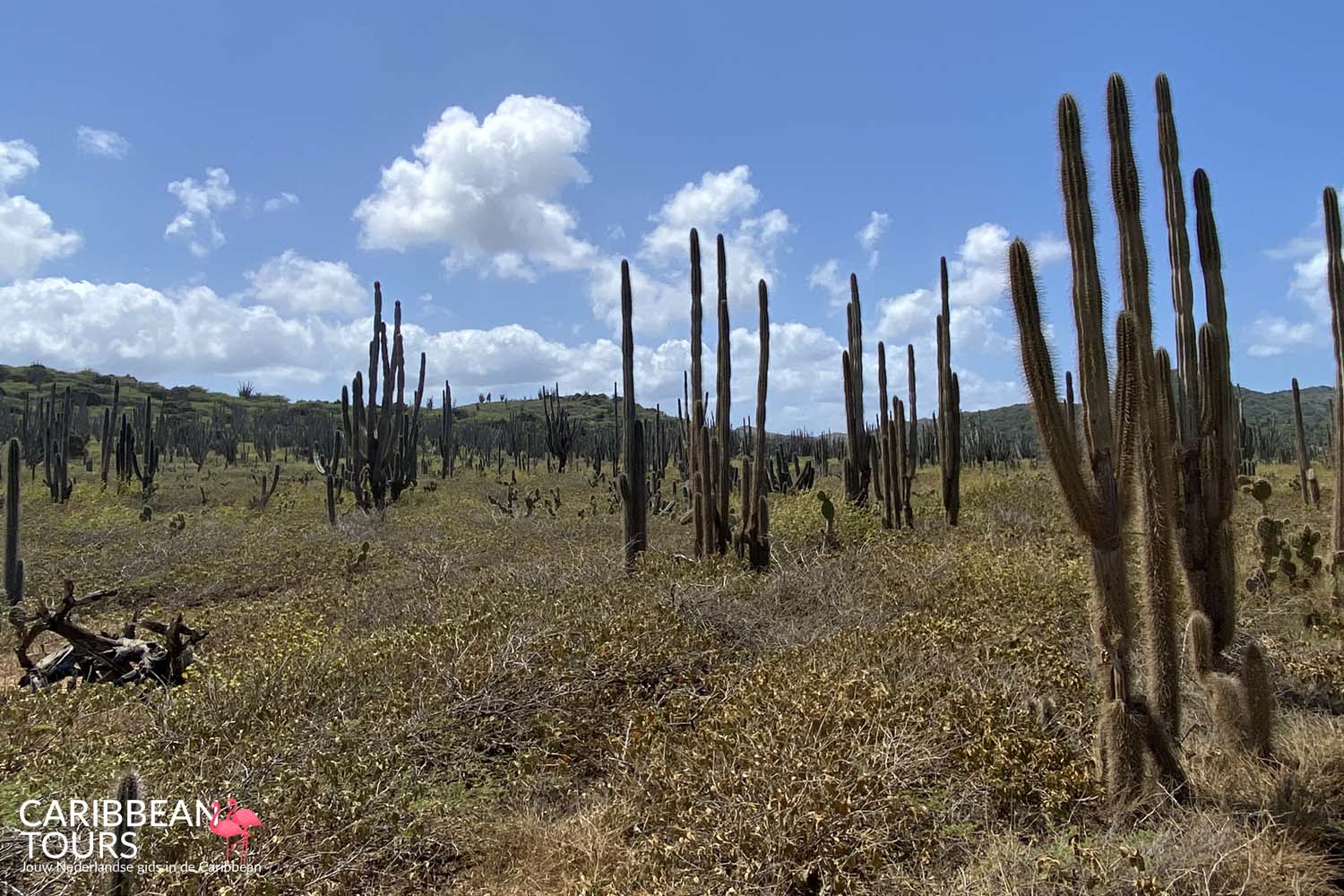 Washington Slagbaai Tour