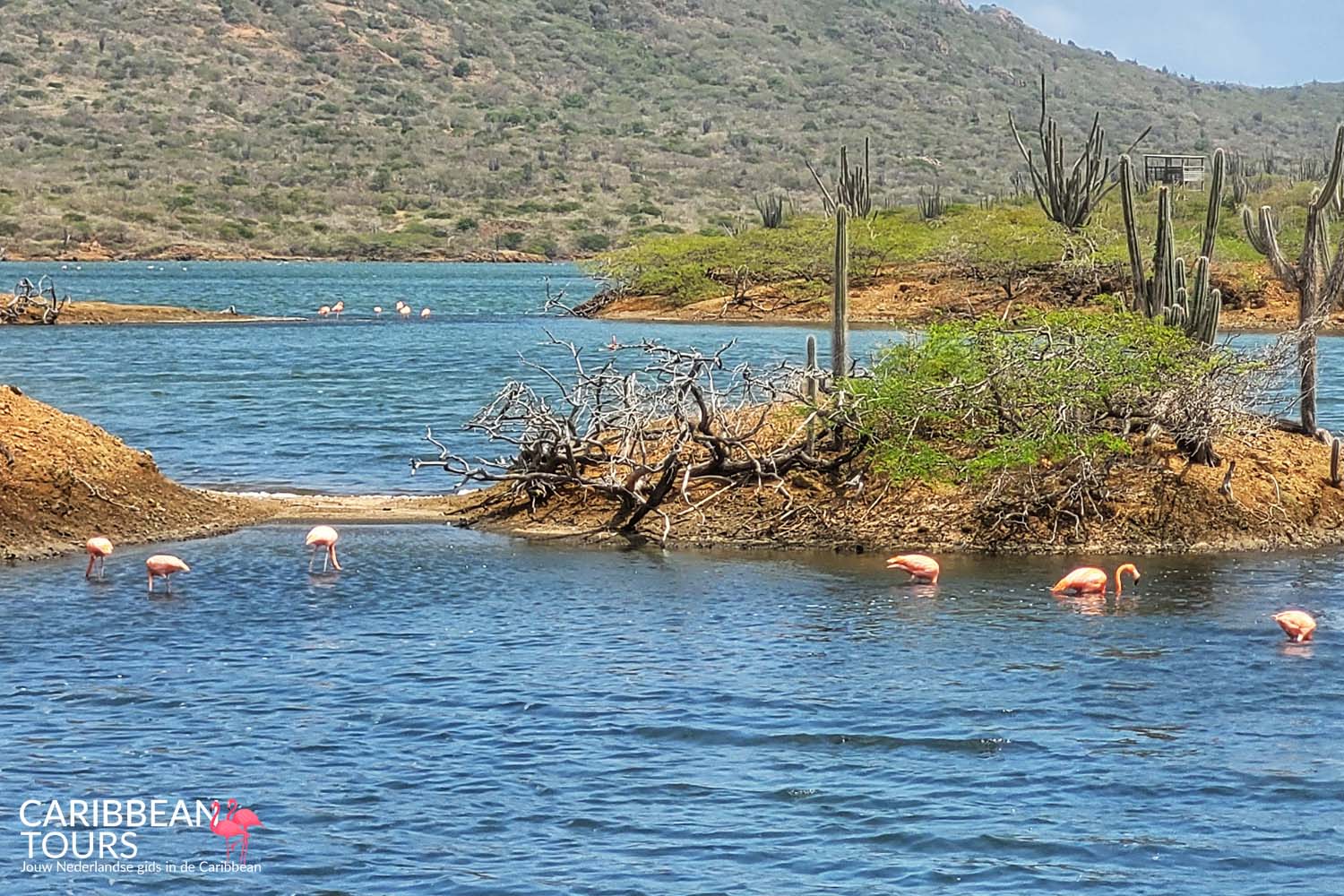 Washington Slagbaai Tour