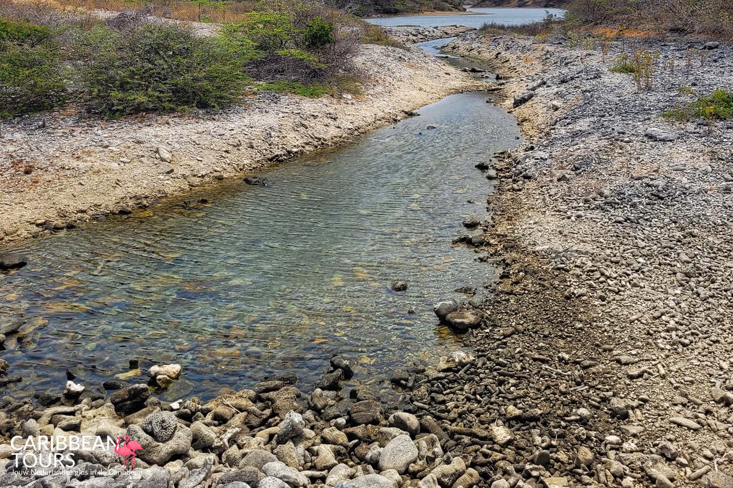 Washington Slagbaai Tour