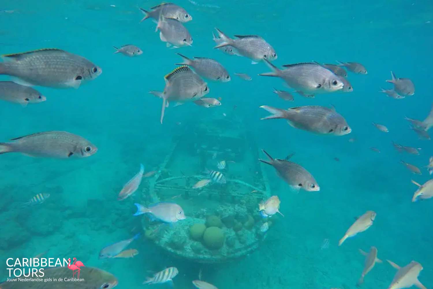 JetSki Snorkel Tour Tugboat