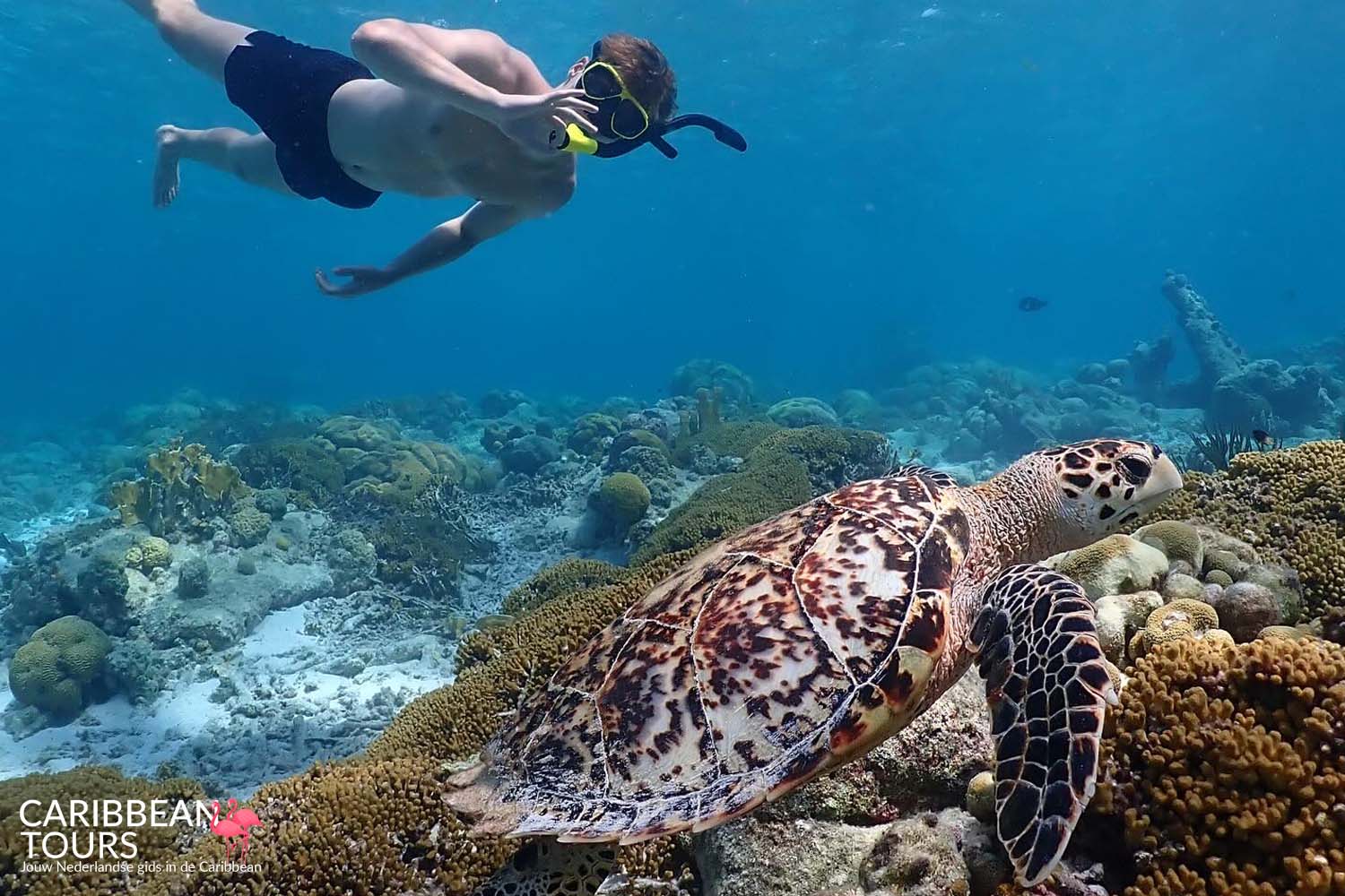 Snorkeltour Marine Park