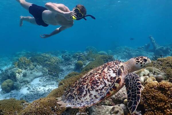 Snorkeltour Marine Park