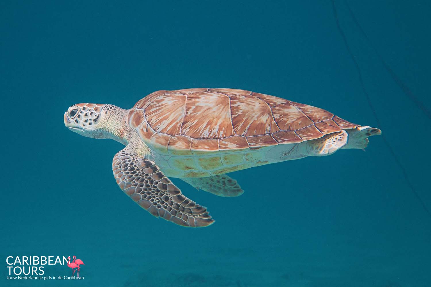 Huur luxe privé boot