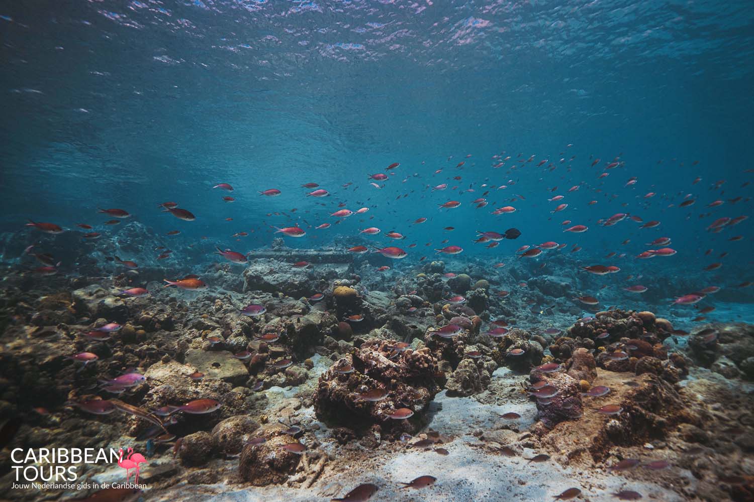 Huur luxe privé boot