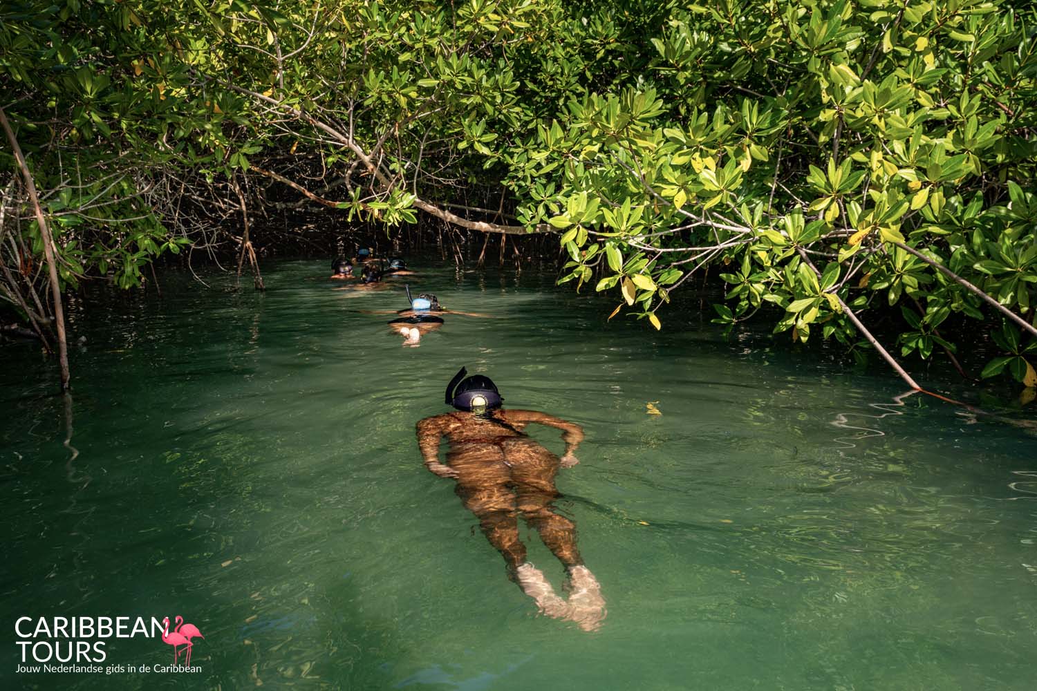 Mangrove Kajak Center