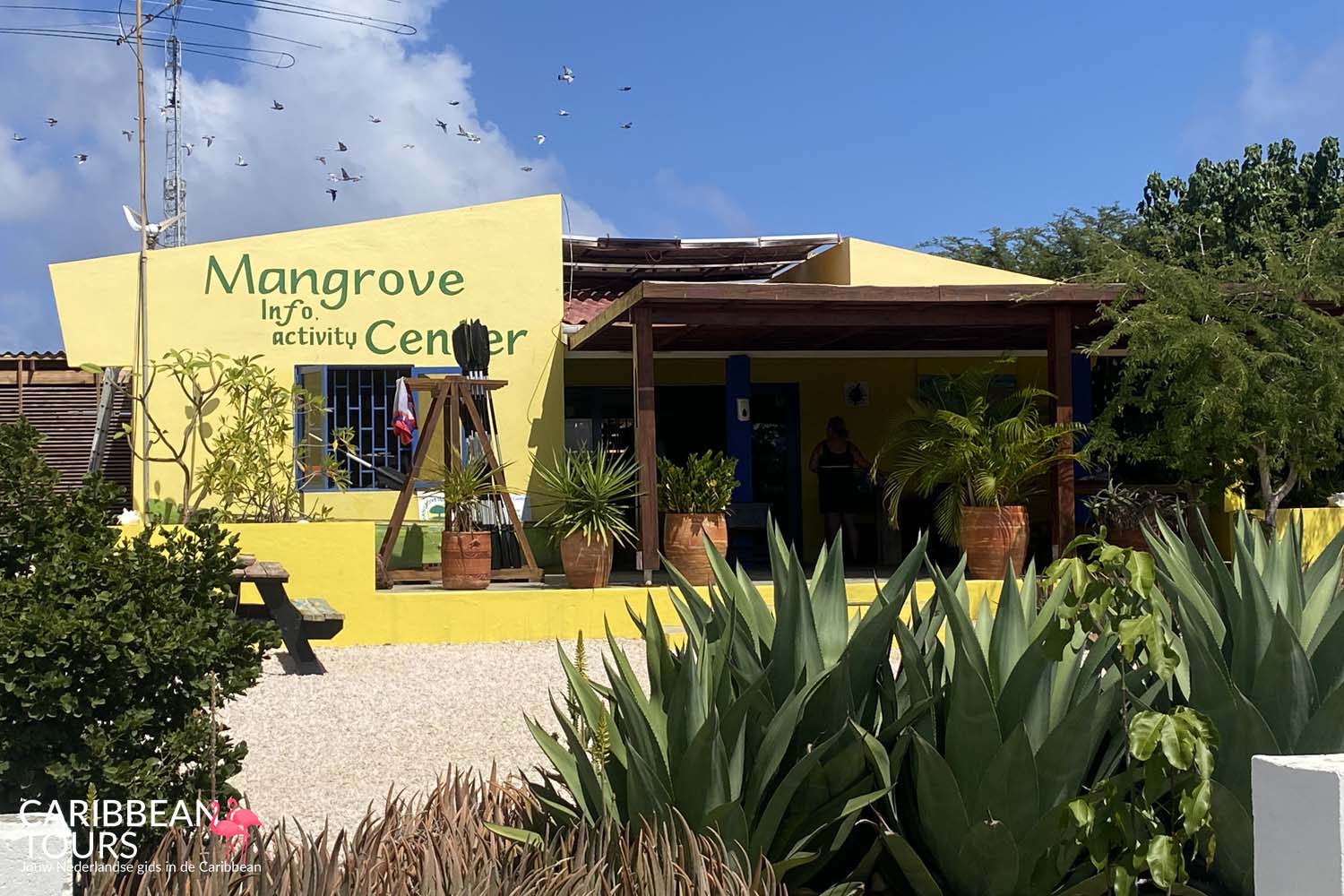 Mangrove Kajak Center