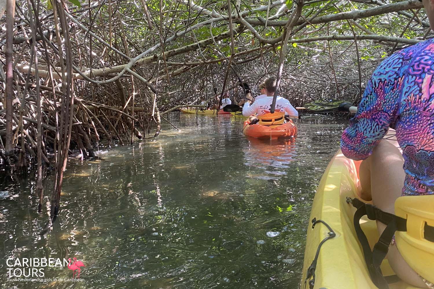 Mangrove Kajak Center