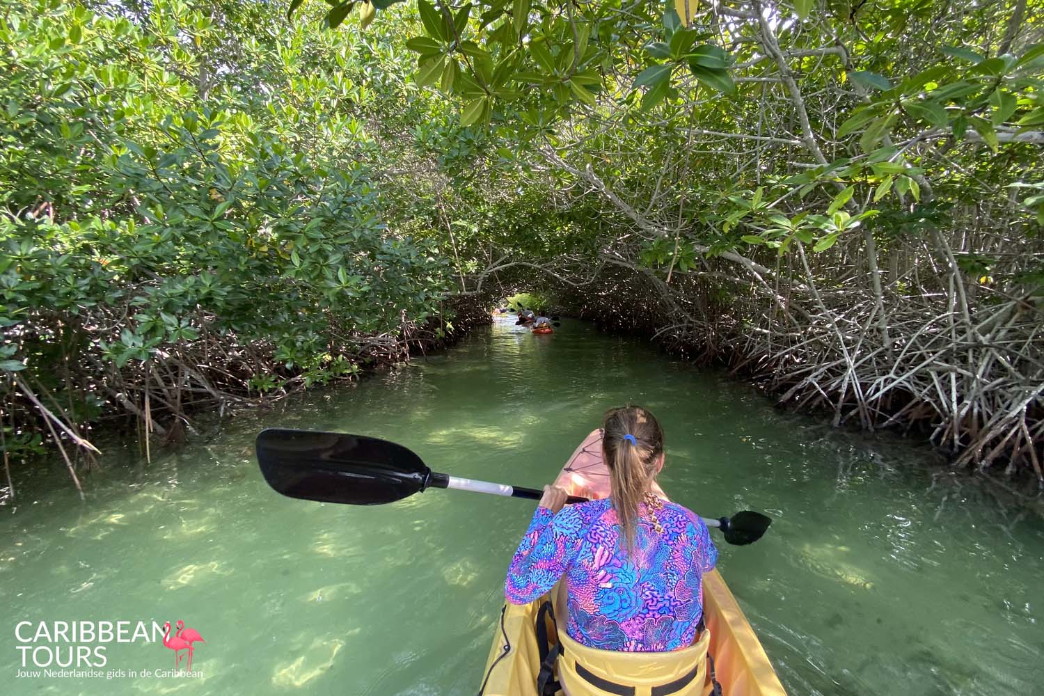 Mangrove Kajak Center